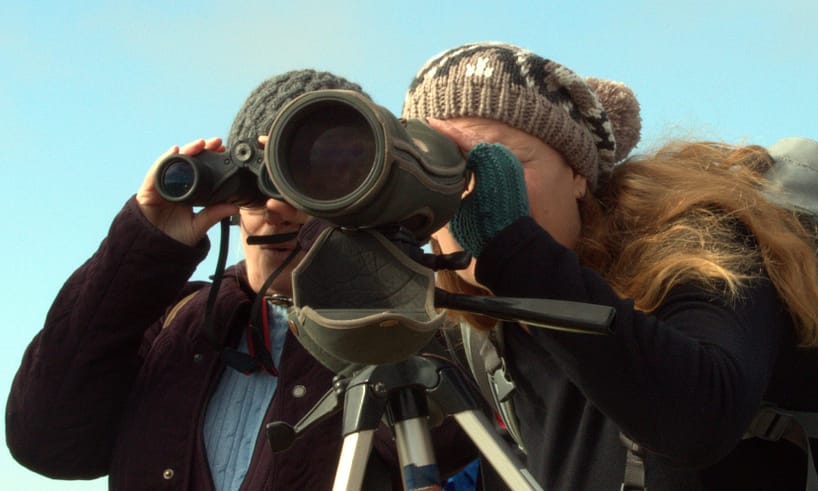 spotting